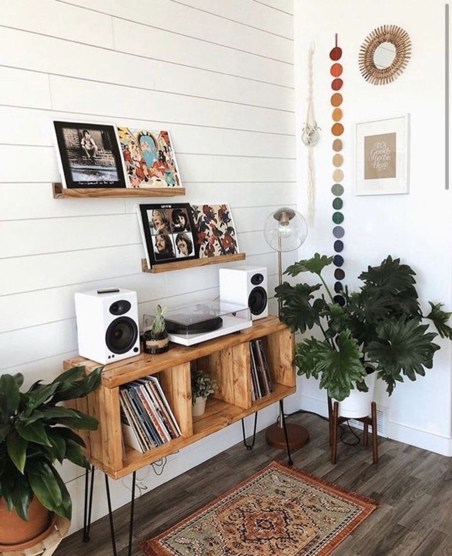 Social Decor inspo 