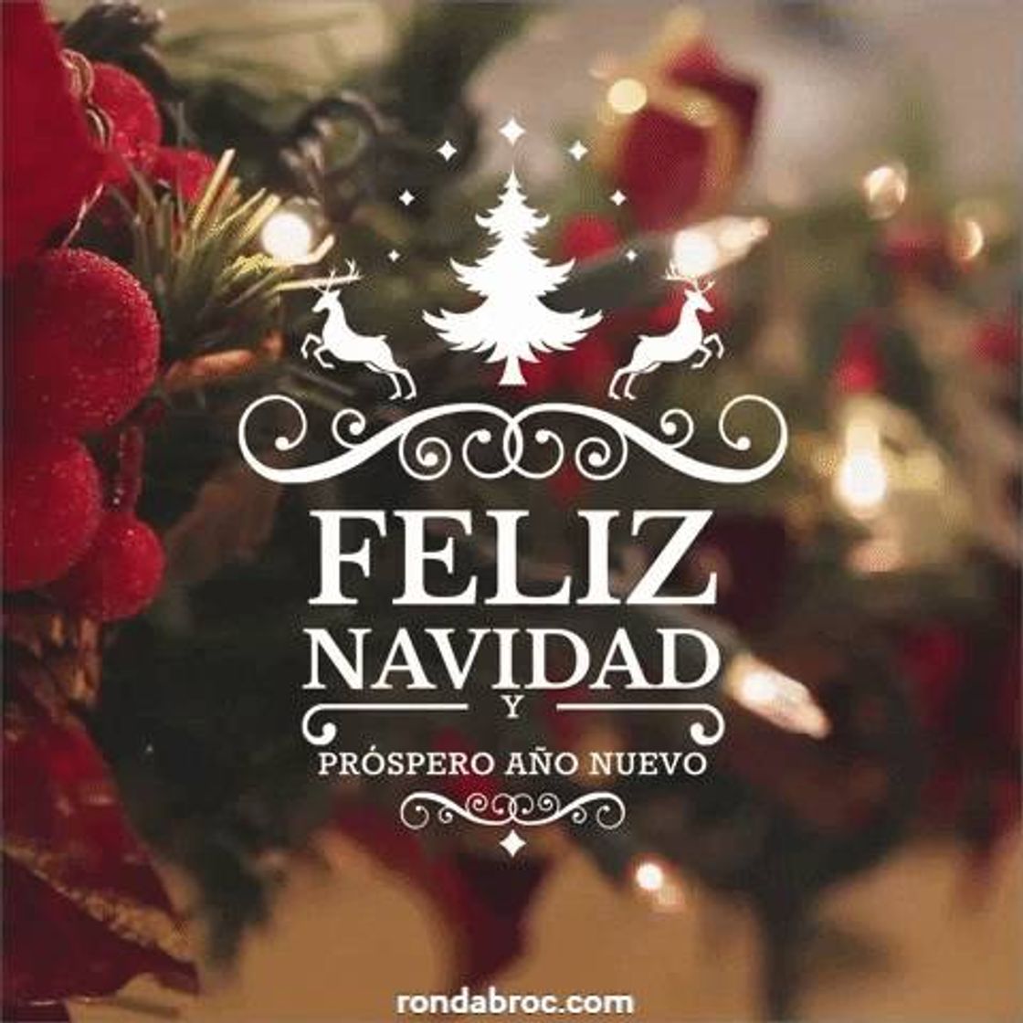 Fashion Feliz Navidad 🤗😇😁🎄🎉