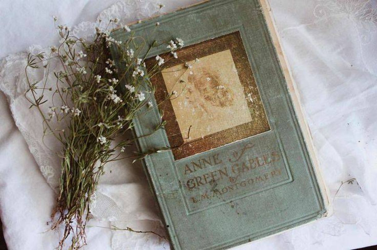 Book Anne of Green Gables