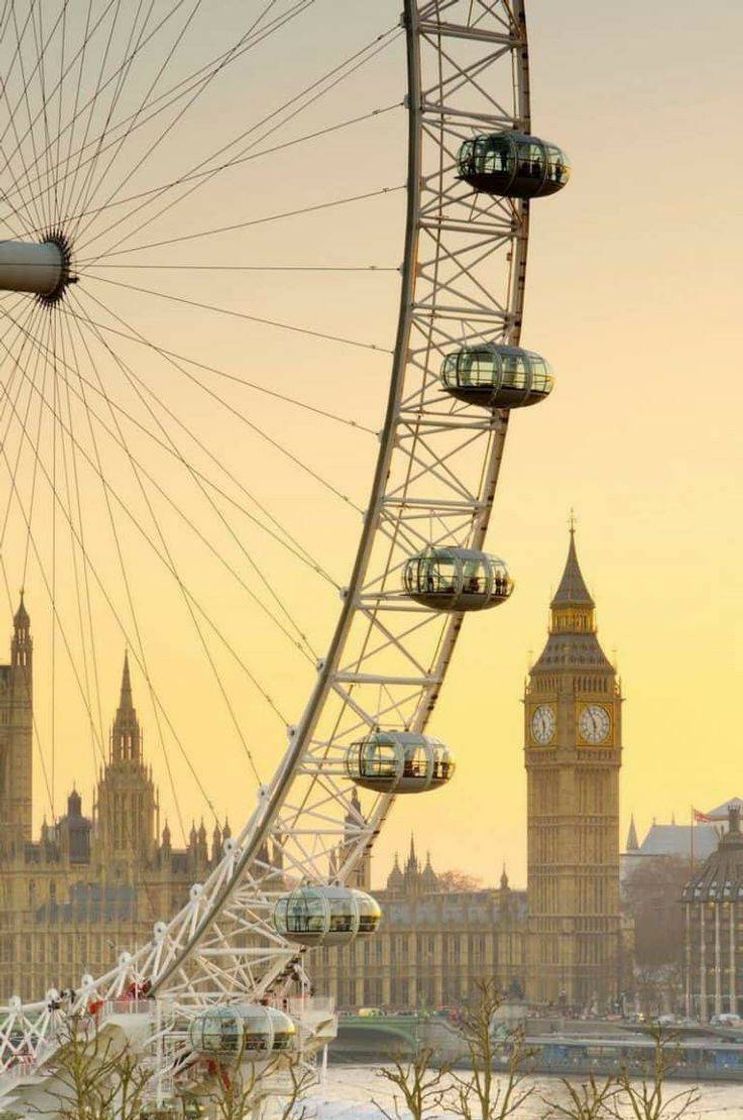 Moda London EYE