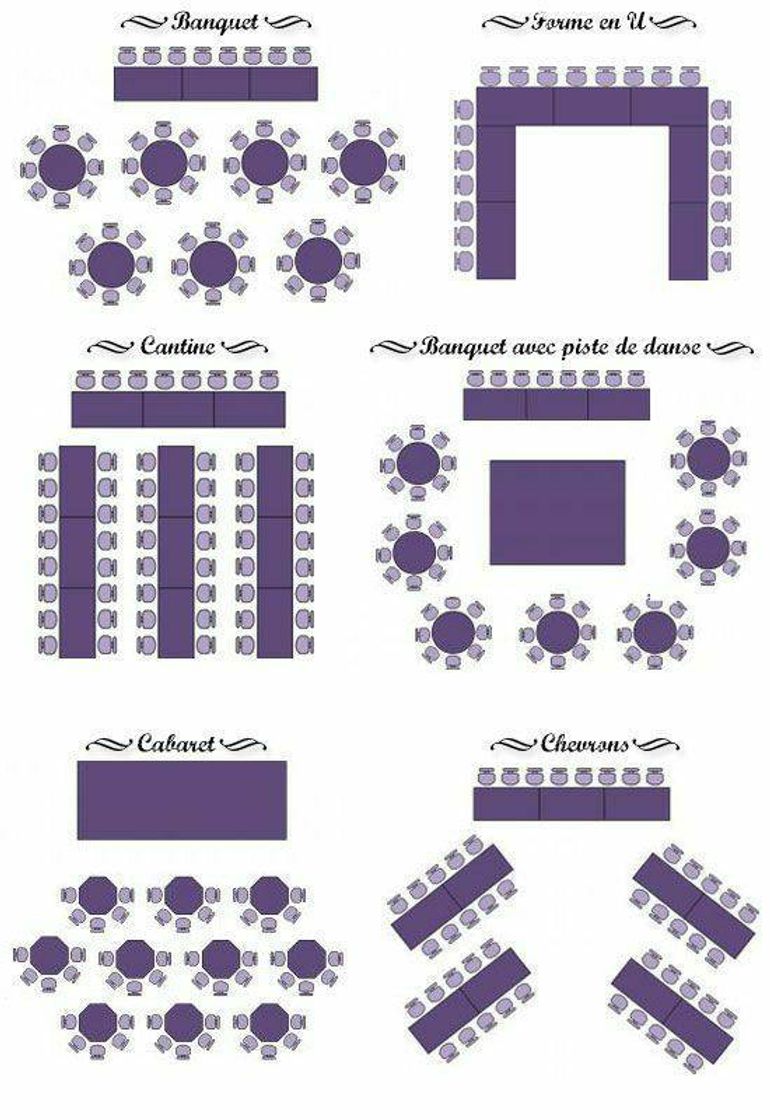 Moda Organização 