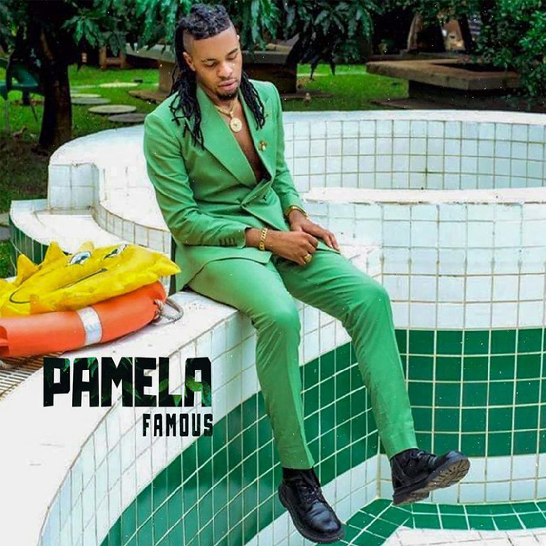 Canción Pamela