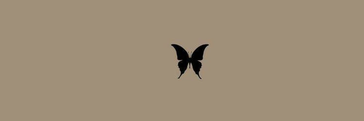 Fashion Black butterfly