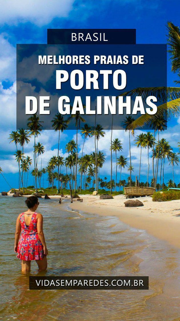 Fashion Melhores Praias em  Porto de galinhas 🐔 🌴 🏖 