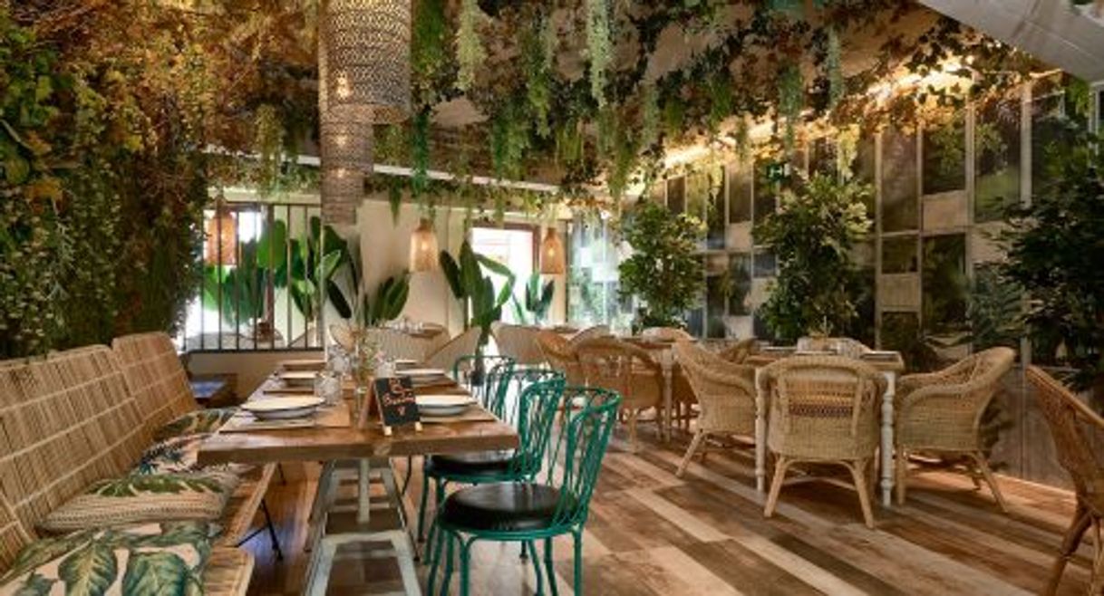 Restaurants Burro Canaglia Bar&Resto - Las Setas