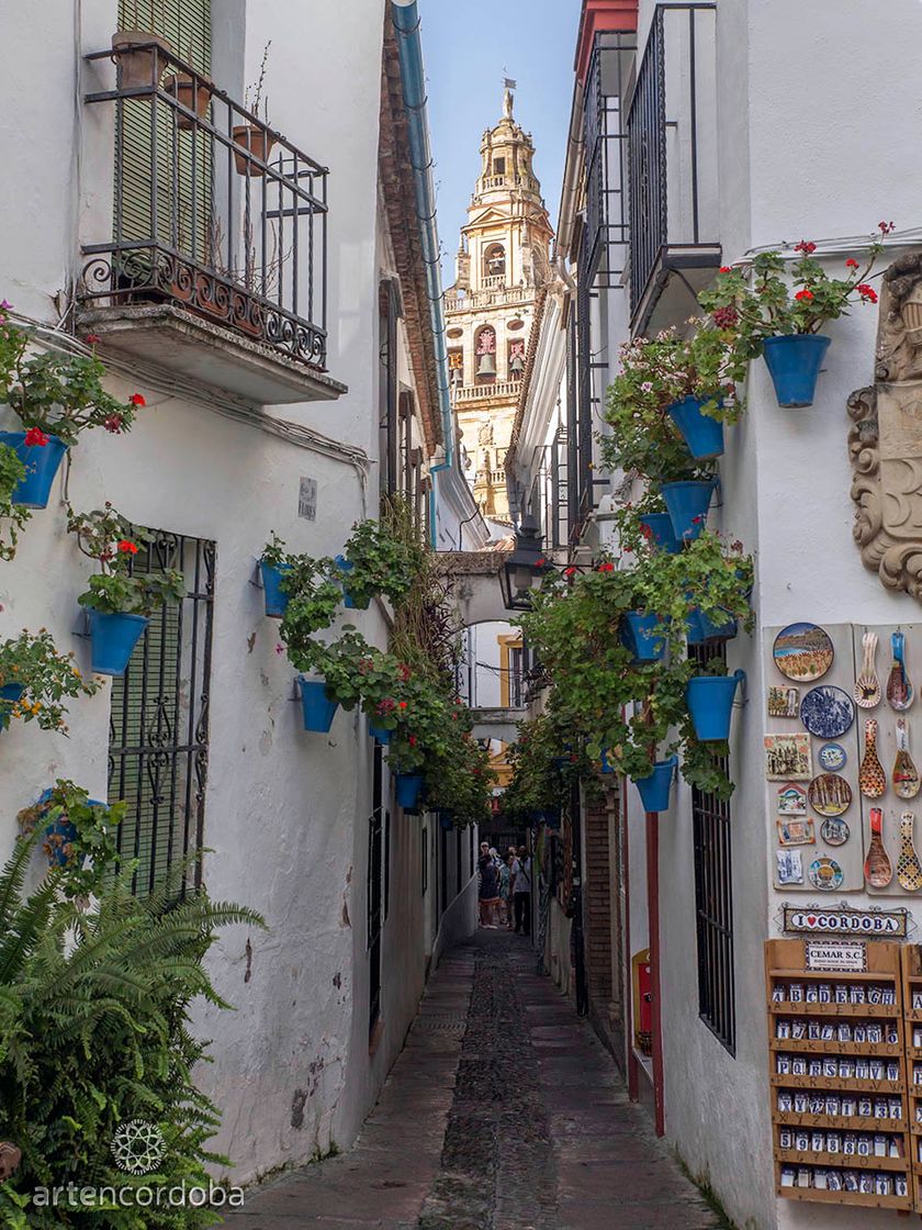 Lugares Calleja de las Flores