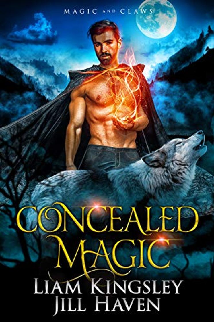 Book Concealed Magic