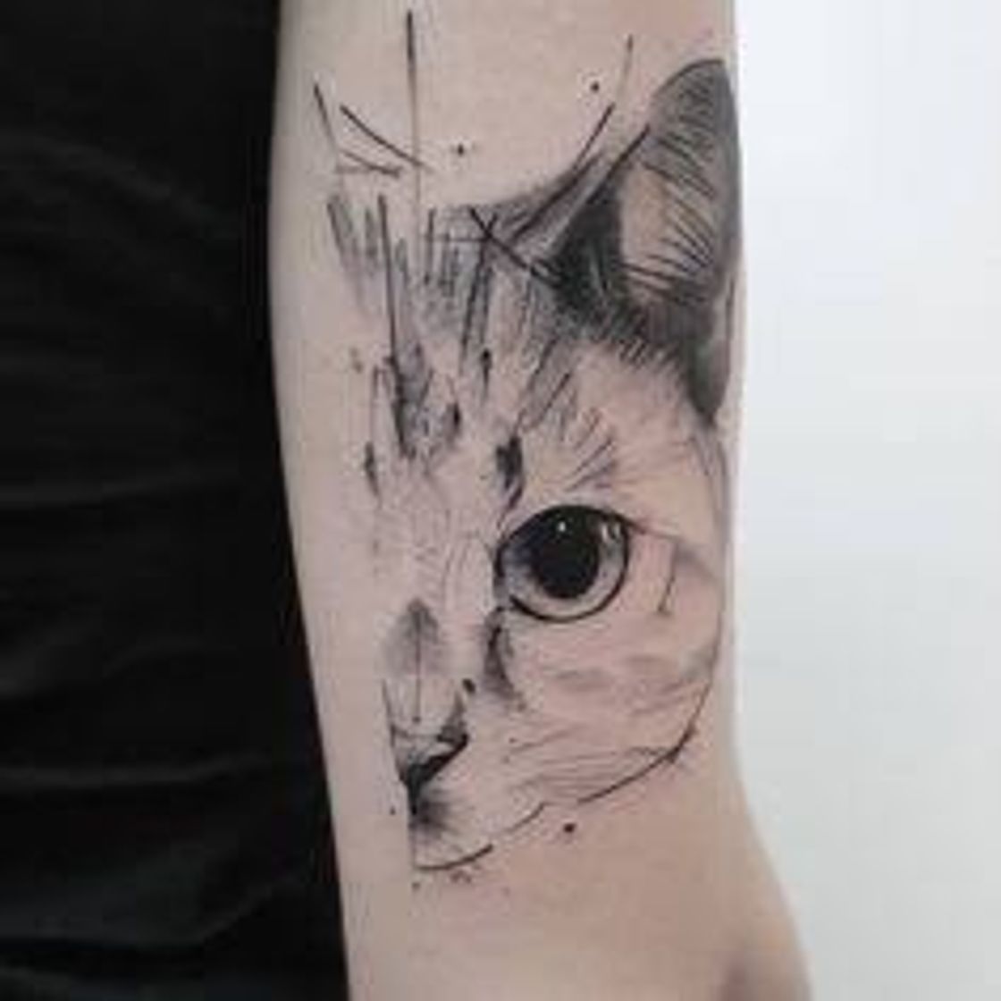 Moda Tatuagem Gatinho 