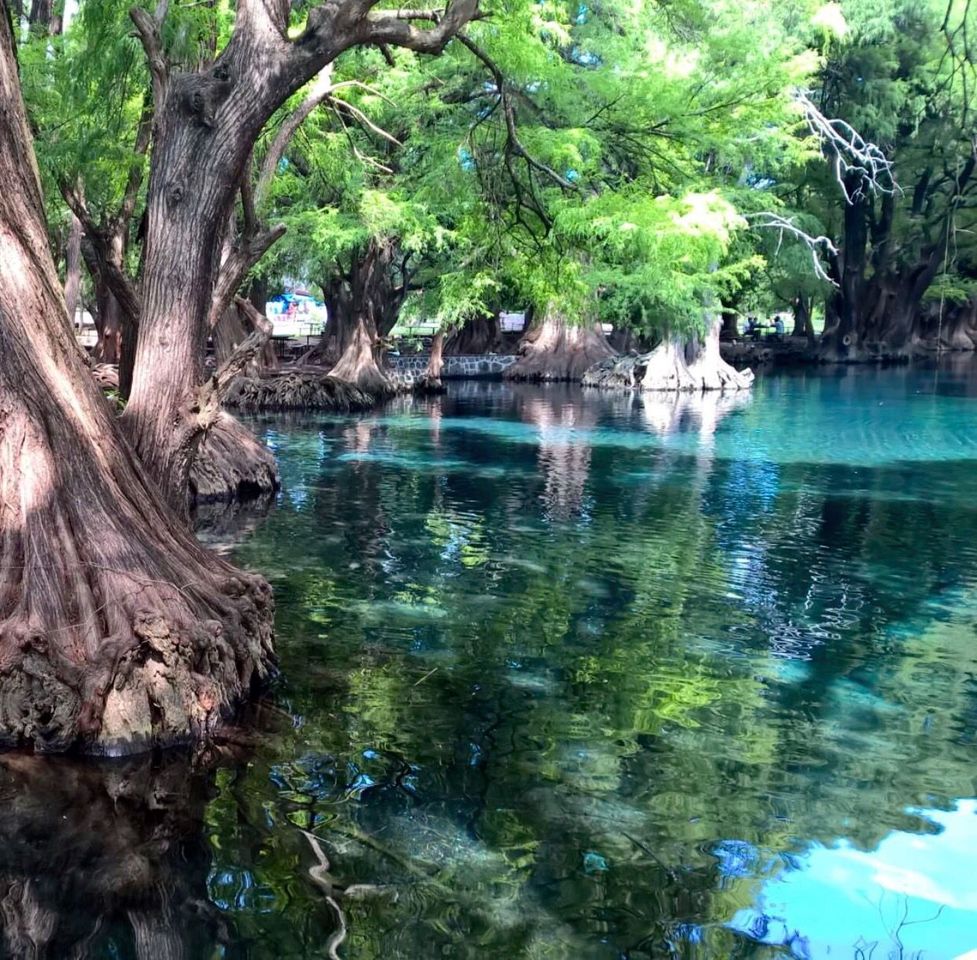 Lugar Lago de Camécuaro