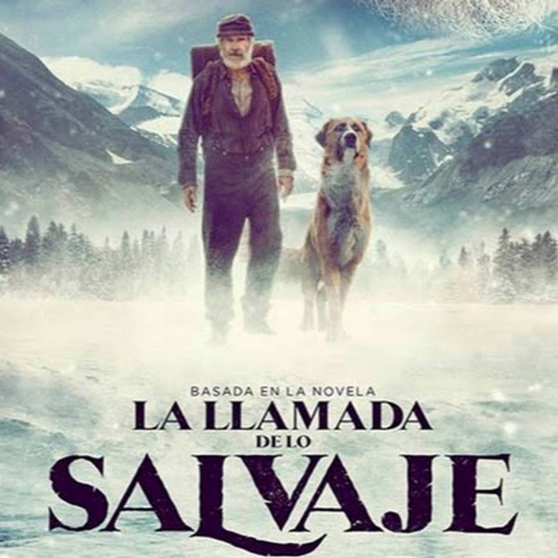 Movie La llamada de lo salvaje