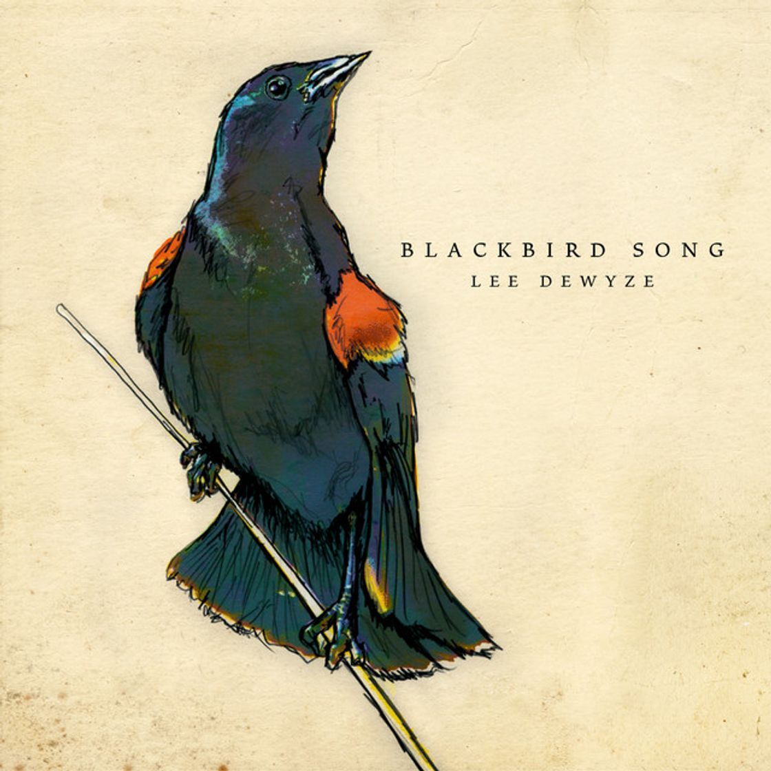 Music Blackbird Song