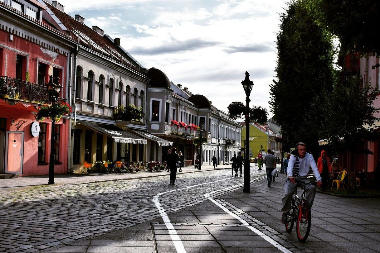 Local Kaunas
