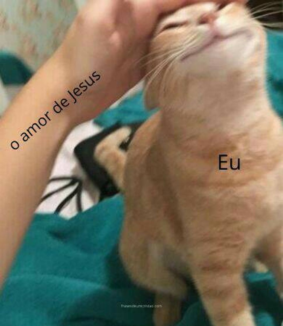 Moda Meme cristão