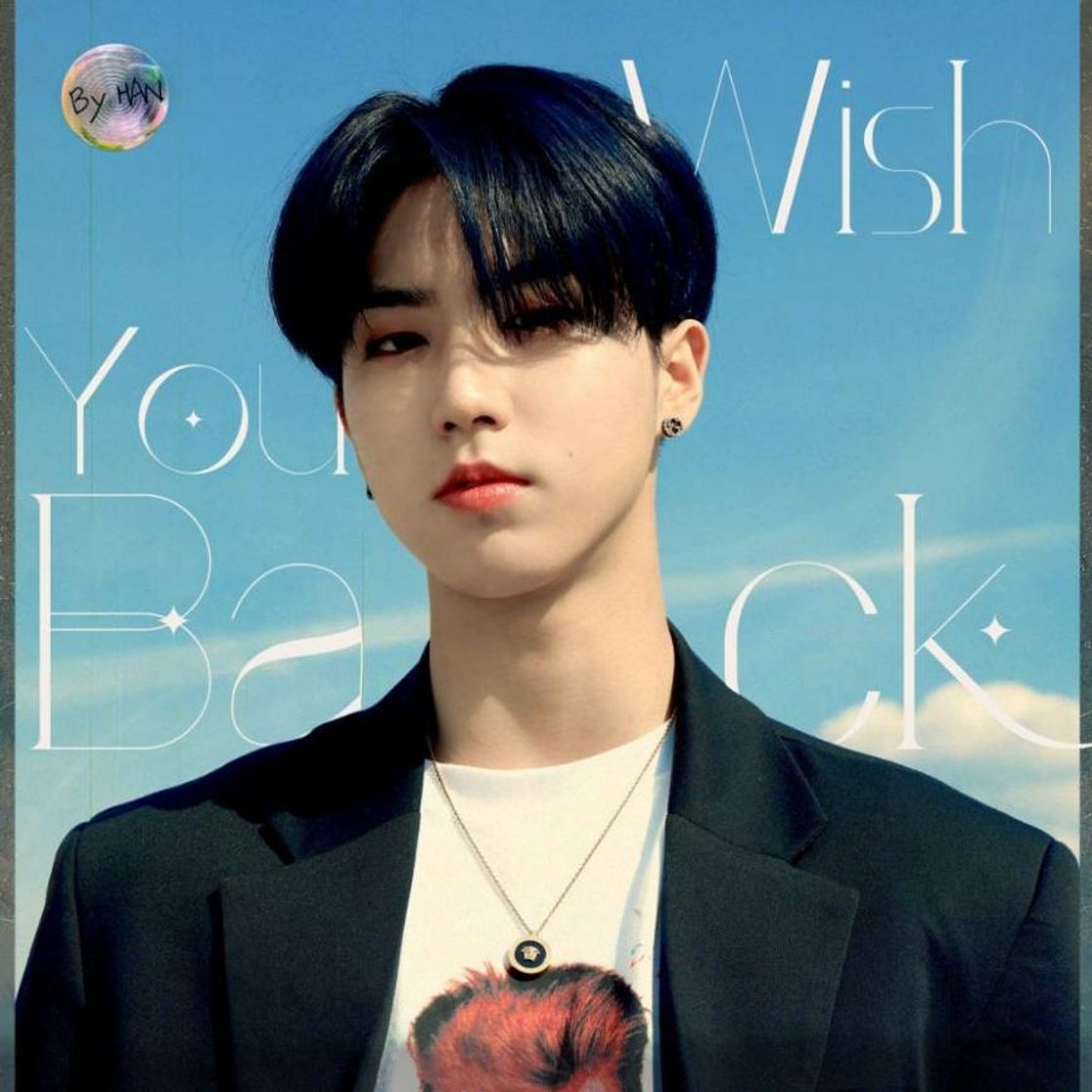 Music HAN "Wish You Back" | [Stray Kids : SKZ-RECORD] - YouTube