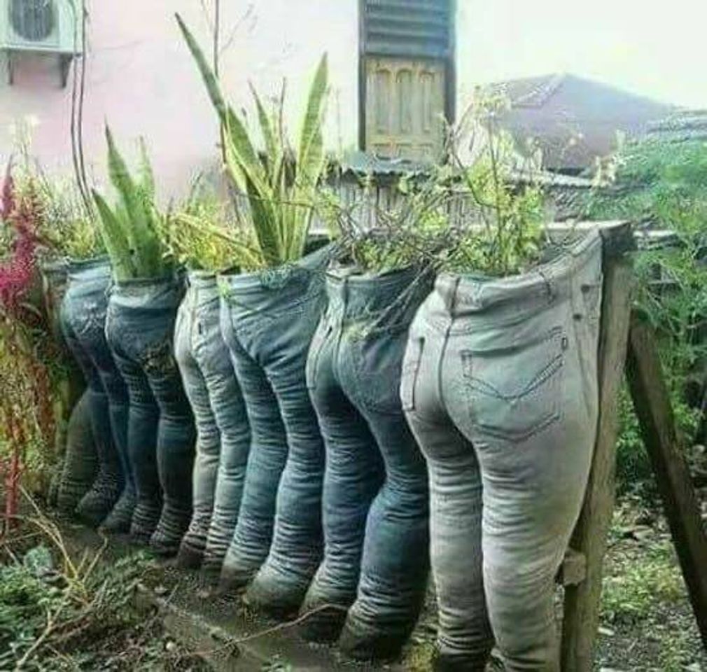 Fashion Ótimos suporte para plantinhas 