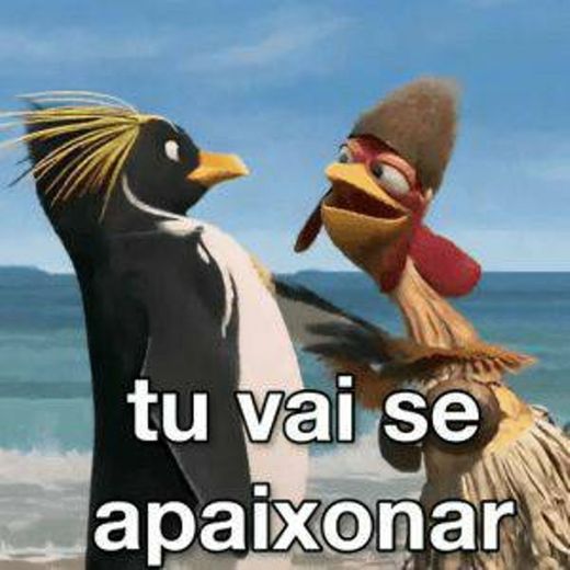 " tu vai se apaixonar"_ João o frango 