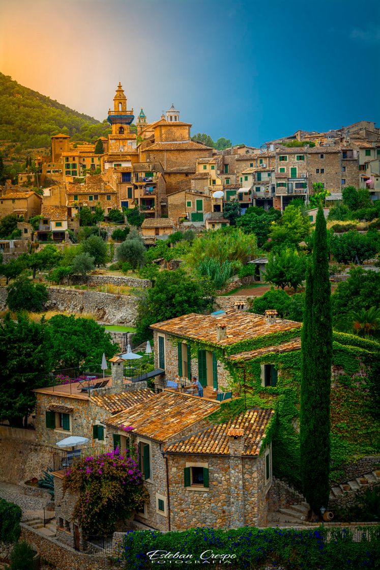 Place Valldemosa