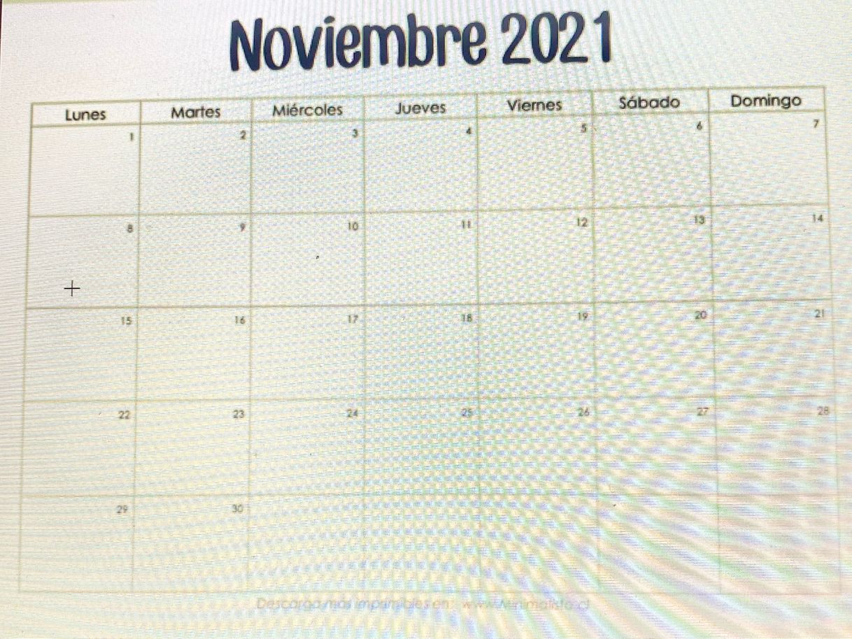 Fashion NOVIEMBRE 2021