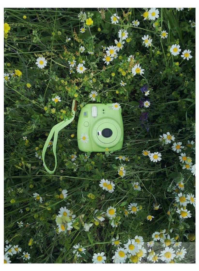 Greem