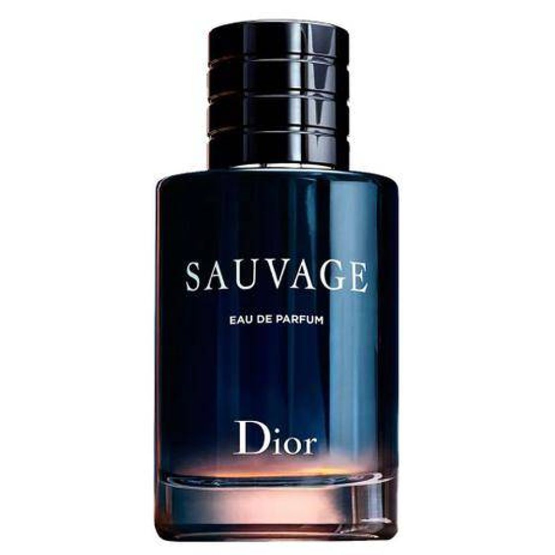 Fashion Sauvage Dior

