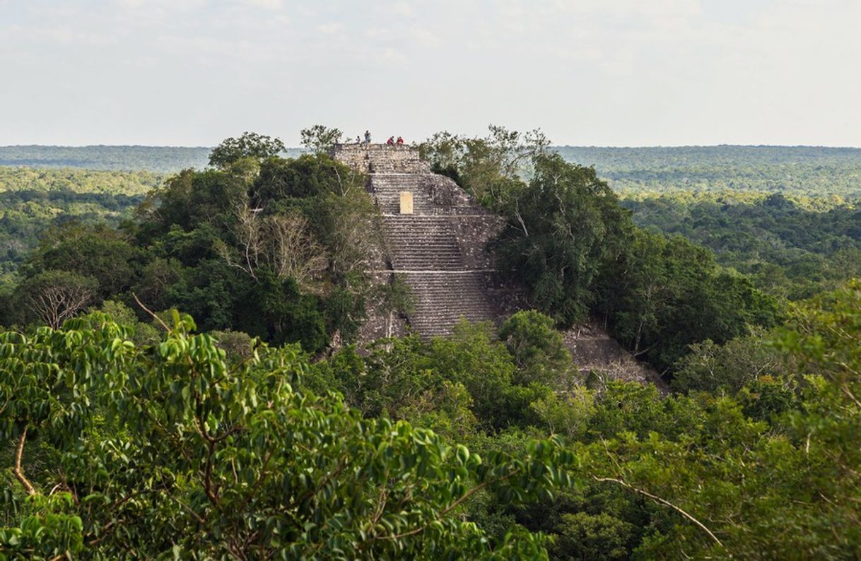 Restaurants Yucatán