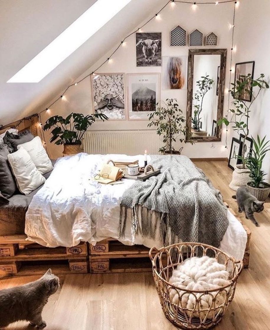 Moda room inspo