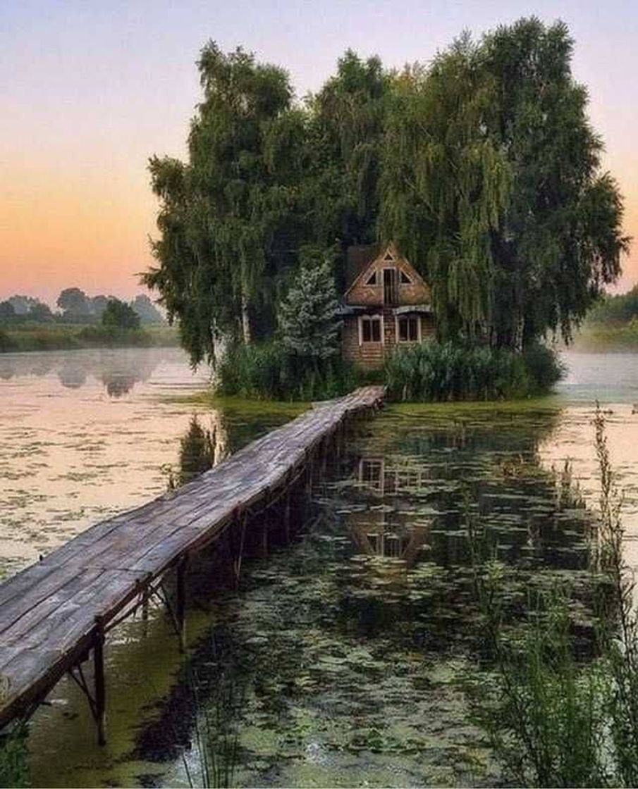 Moda 🏡