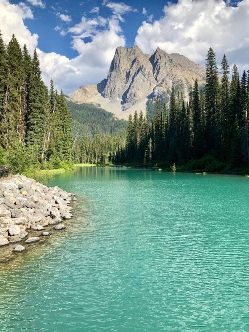 Lugar Parque Nacional Yoho