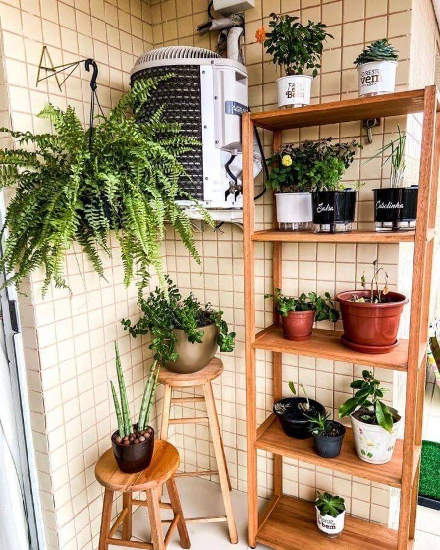 Social Prateleira de Plantas 💚