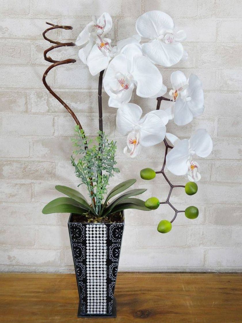 Social Orquídea Branca 🤍