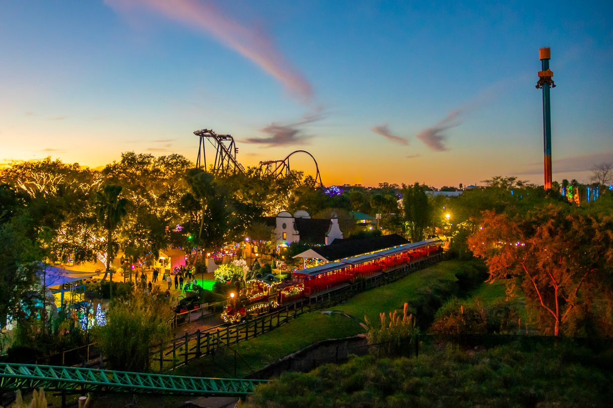 Lugar Busch Gardens Tampa Bay