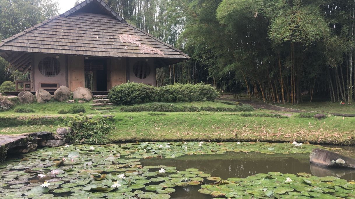 Lugar Jardín Botánico Lankester