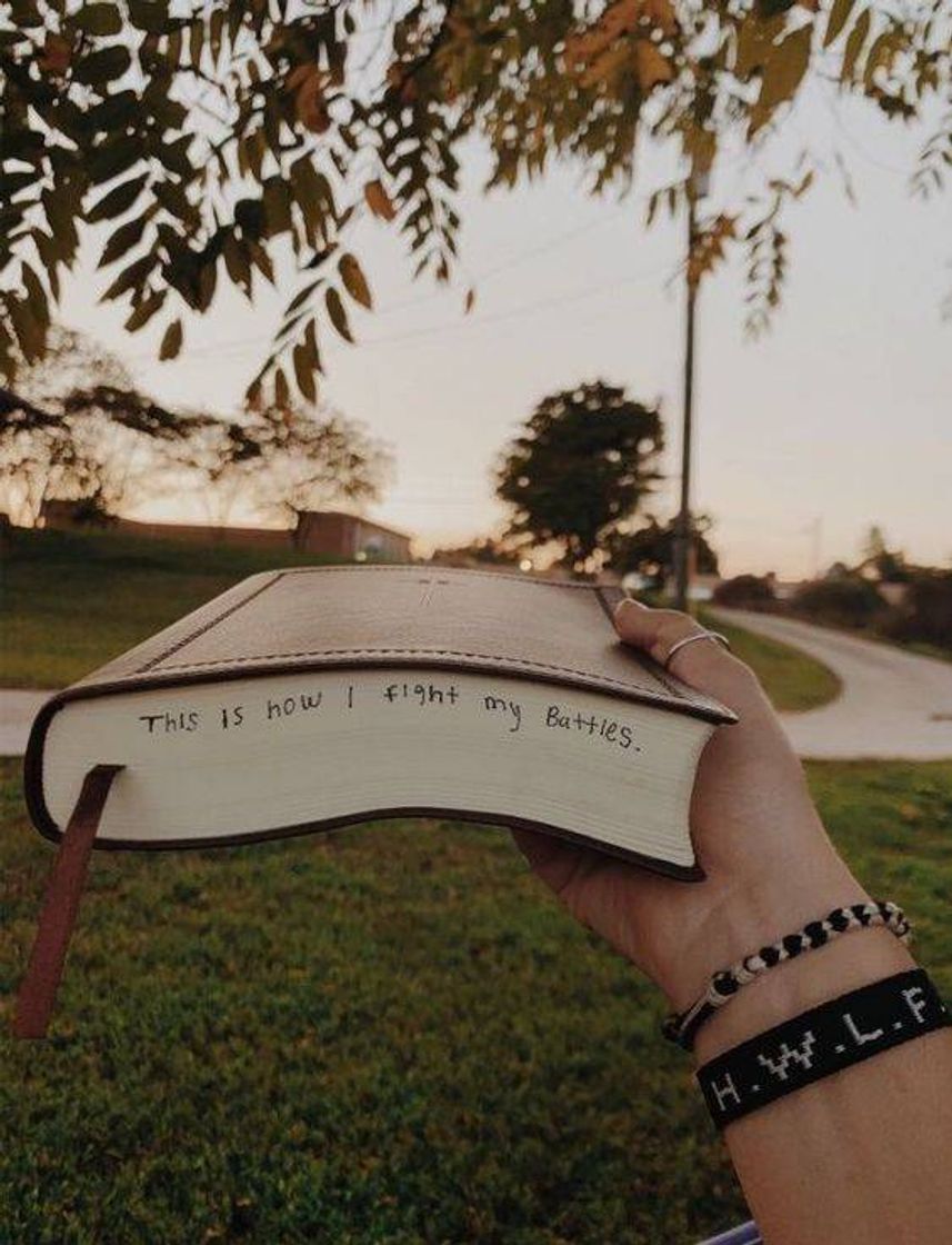 Social O MELHOR Livro de todos 😍🤩