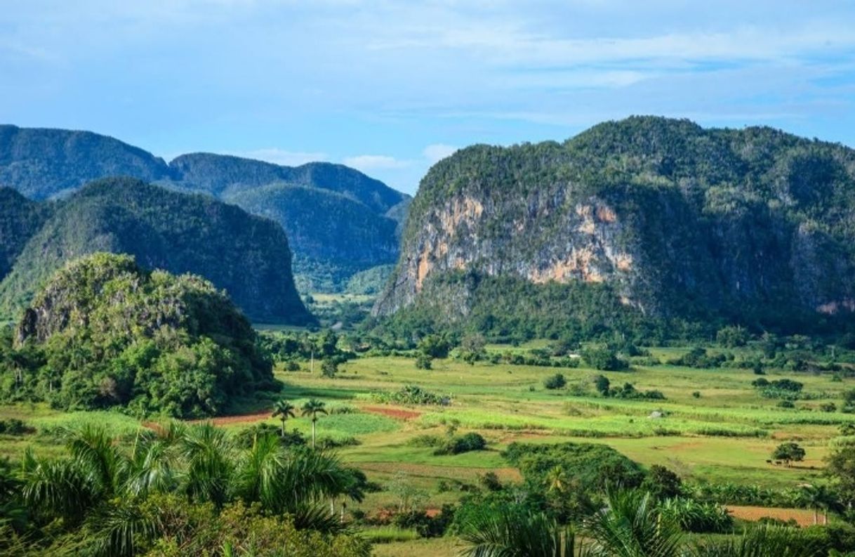 Lugar EL VALLE DE VIÑALE 