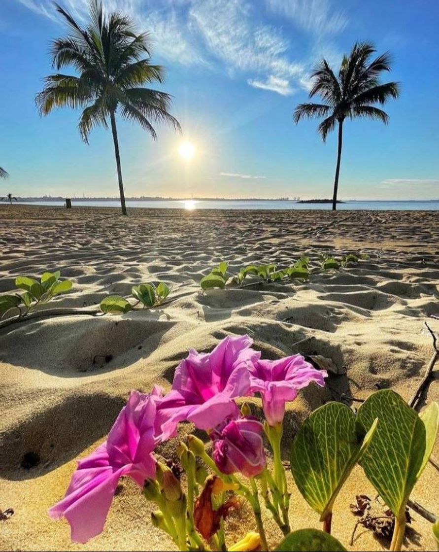 Lugar Playa de Camburi