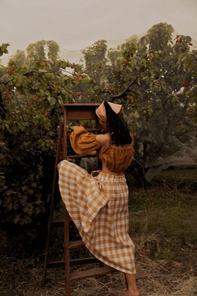 orange picker