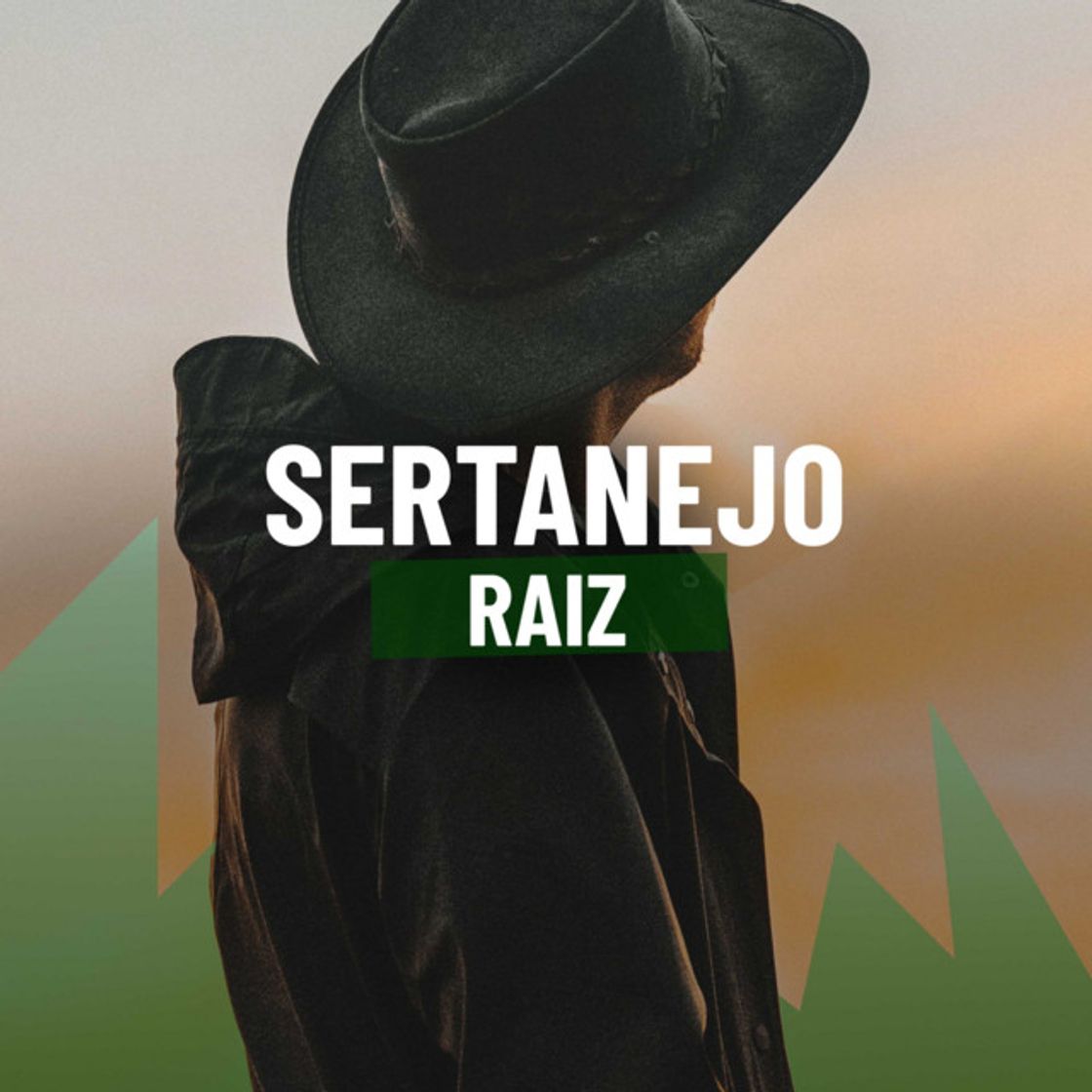 Music Na Sola Da Bota