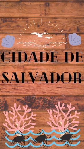 Capa da Coleção da Cidade de Salvador