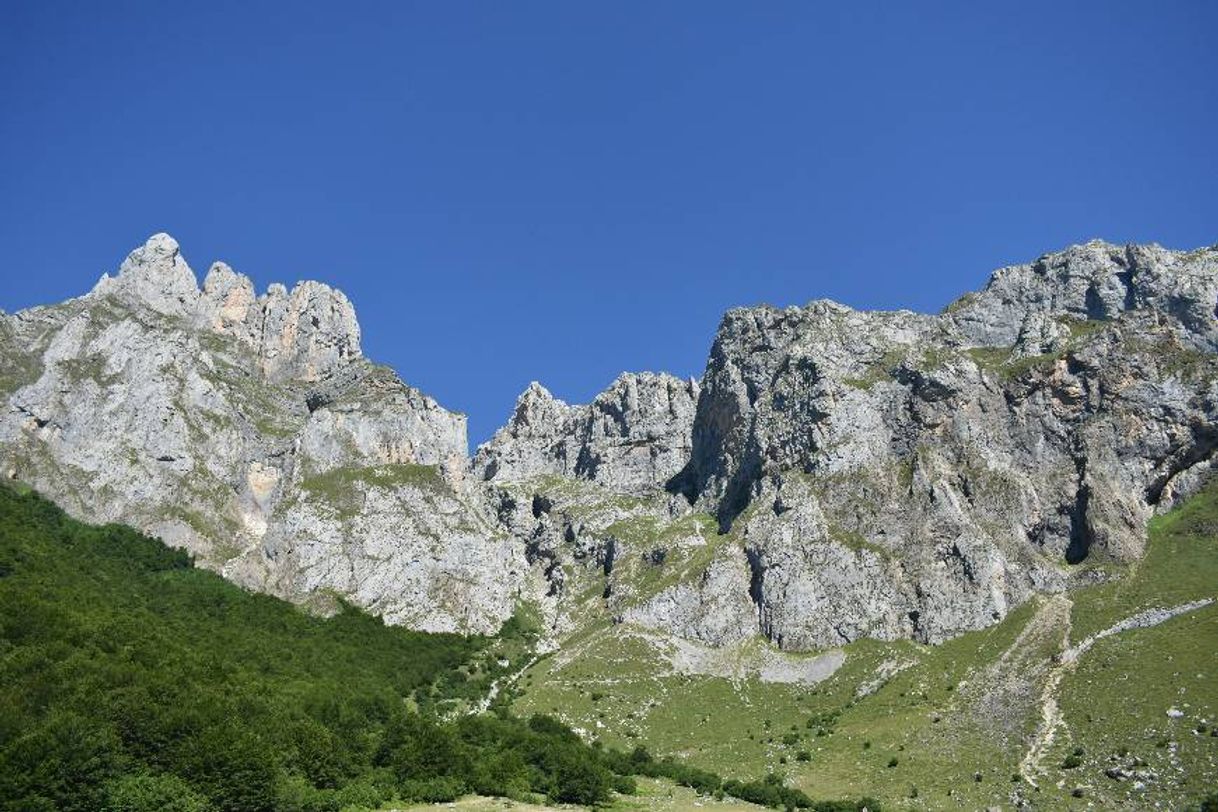 Place Picos de Europa