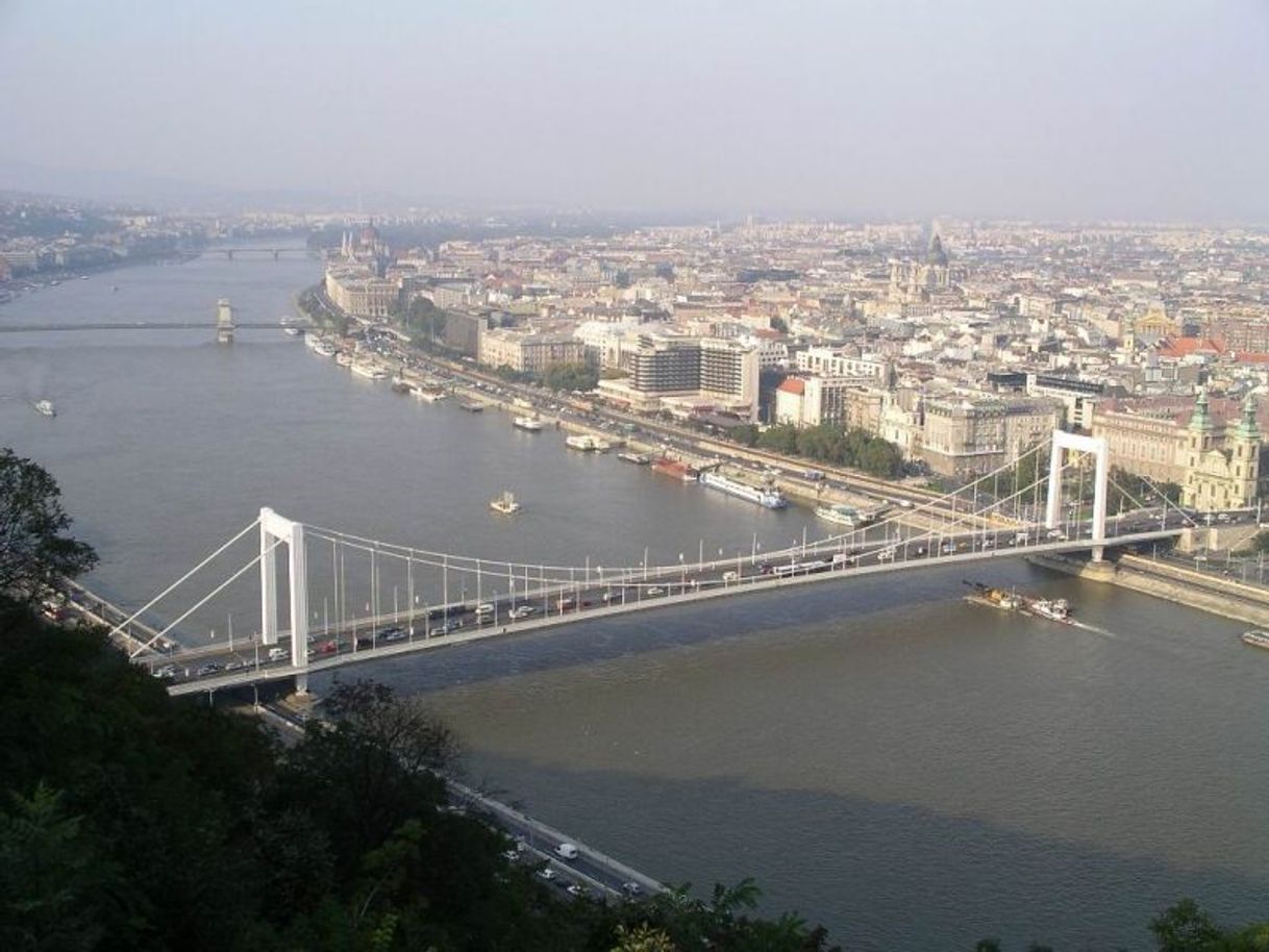 Place Elisabeth Bridge