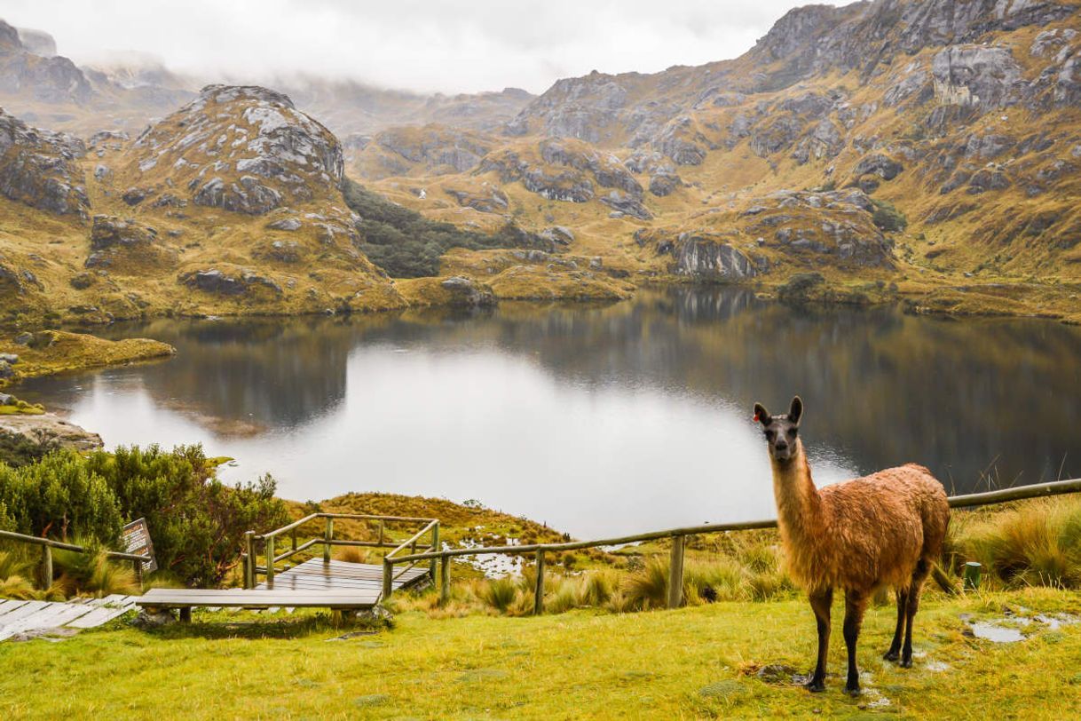 Lugar Parque Nacional Cajas