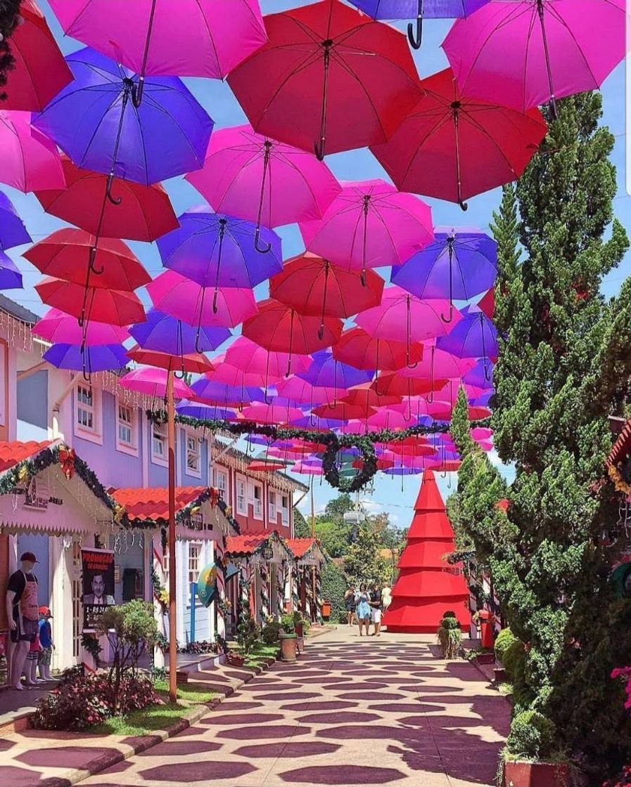 Place Penedo
