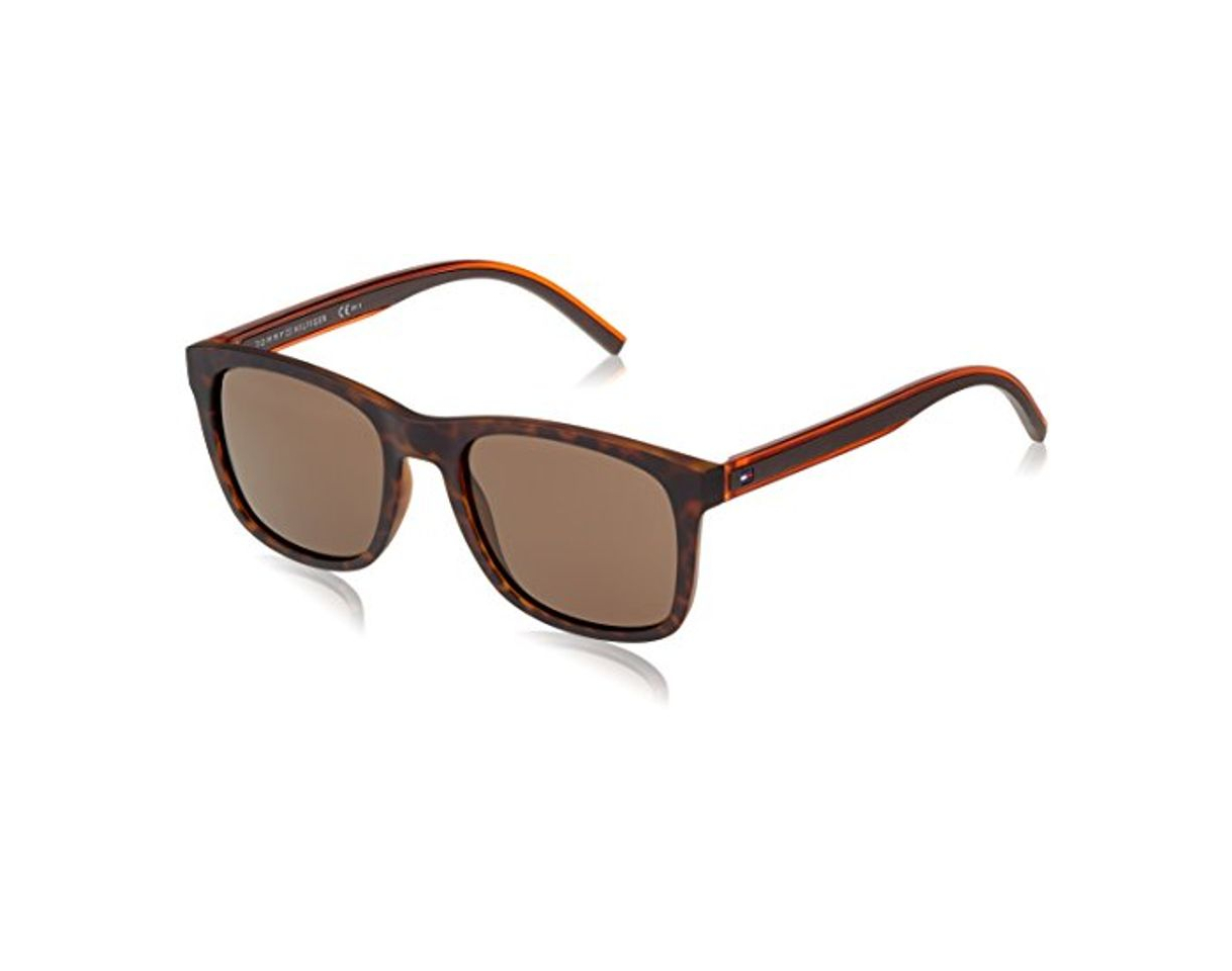 Social Tommy Hilfiger TH 1493