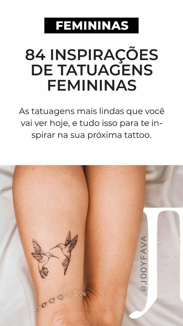 Moda Olha que fofinhos 