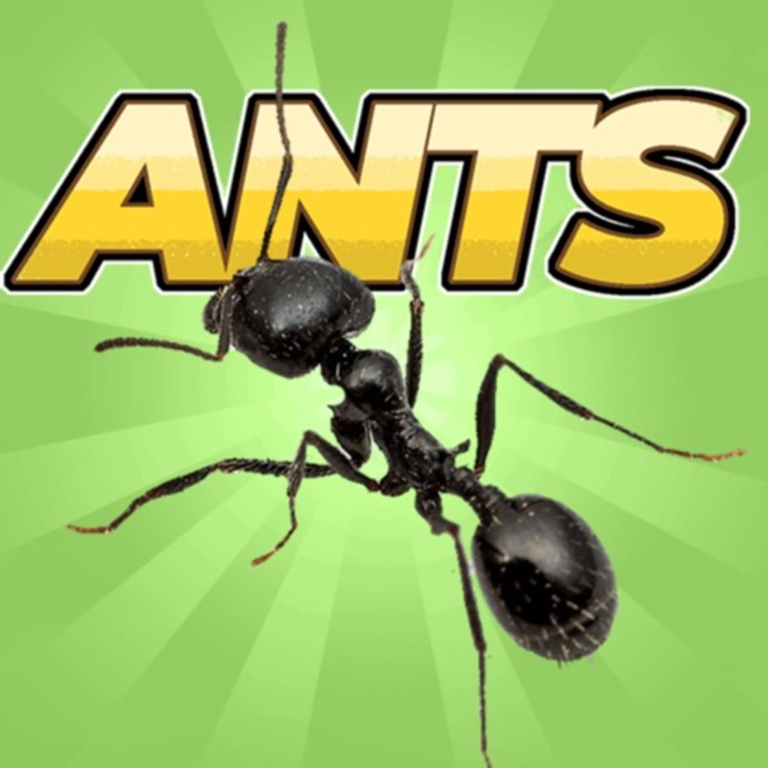 App Pocket Ants: Colony Simulator