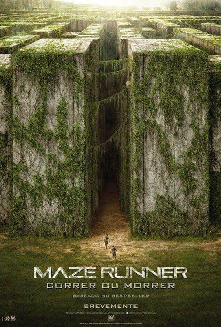 Película Maze Runner: Correr ou Morrer 