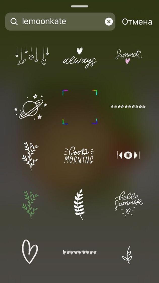 Social Gifs lemoonkate 🤍