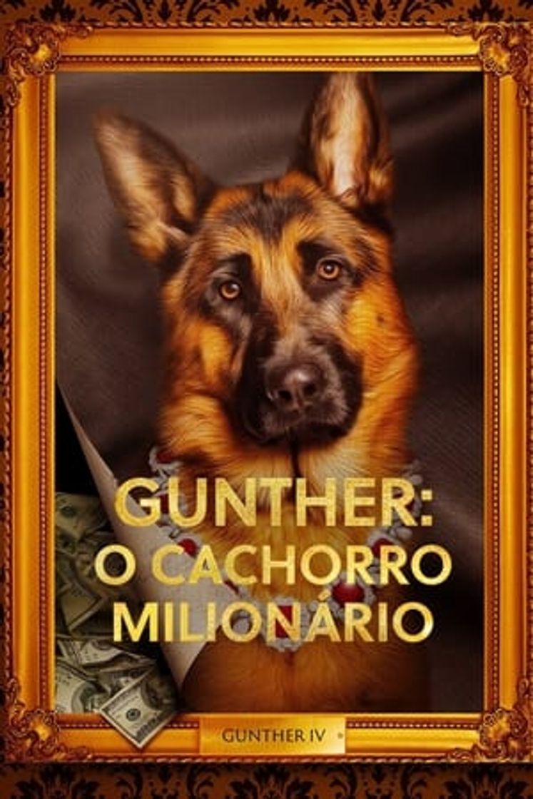 Serie Gunther, el perro millonario