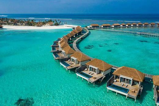  ● MALDIVAS ●