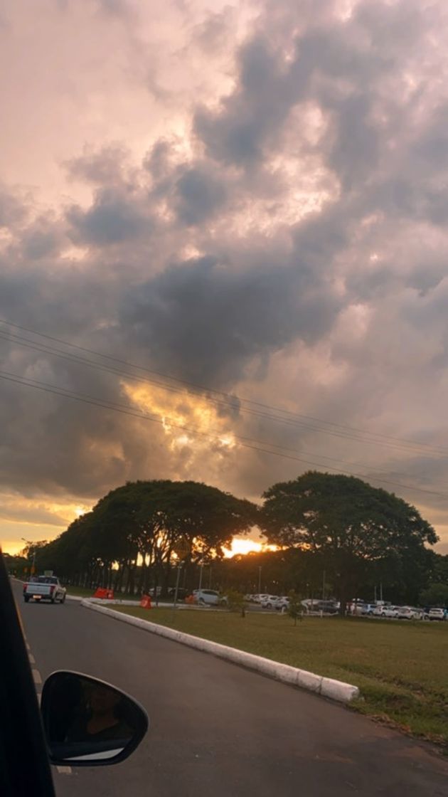 Lugar Parque da cidade BRASÍLIA DF 